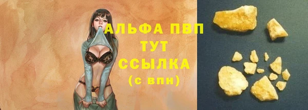 прущие грибы Белоозёрский