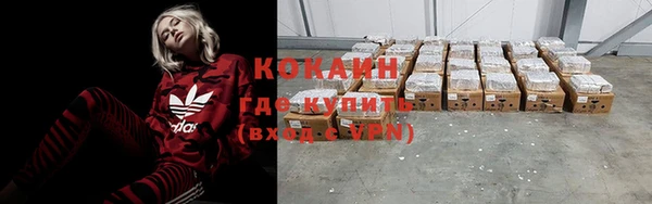 прущие грибы Белоозёрский