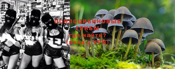 прущие грибы Белоозёрский