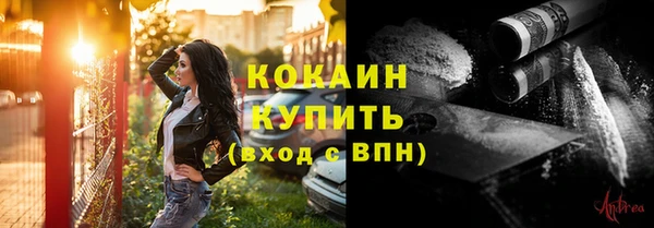 прущие грибы Белоозёрский