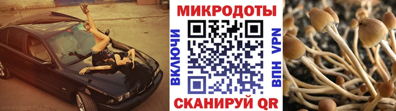 Псилоцибиновые грибы мухоморы  Шахты 