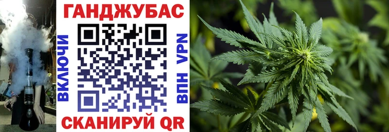 сколько стоит  Шахты  blacksprut   Конопля сатива 